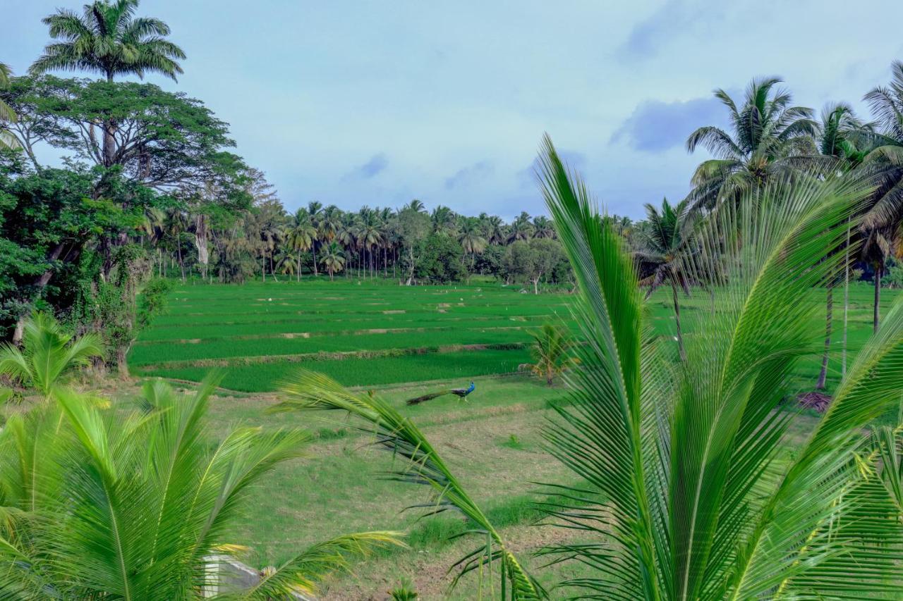 Royal Garden Brindavan Resort Krishnarajasagara Buitenkant foto